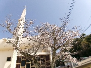 新学期がはじまります♪