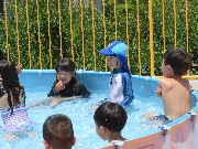 プール