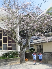 ４月外遊びの様子♪